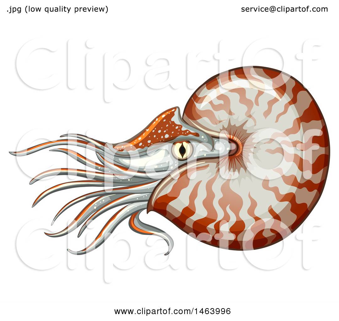 1080x1024 Chambering Clipart
