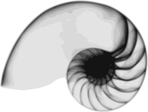 488x368 Free Nautilus Vector Free Vector Download (4 Free Vector) For
