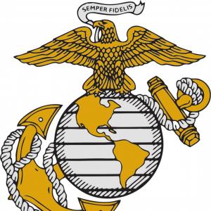 Navy Seal Logo Vector at GetDrawings | Free download