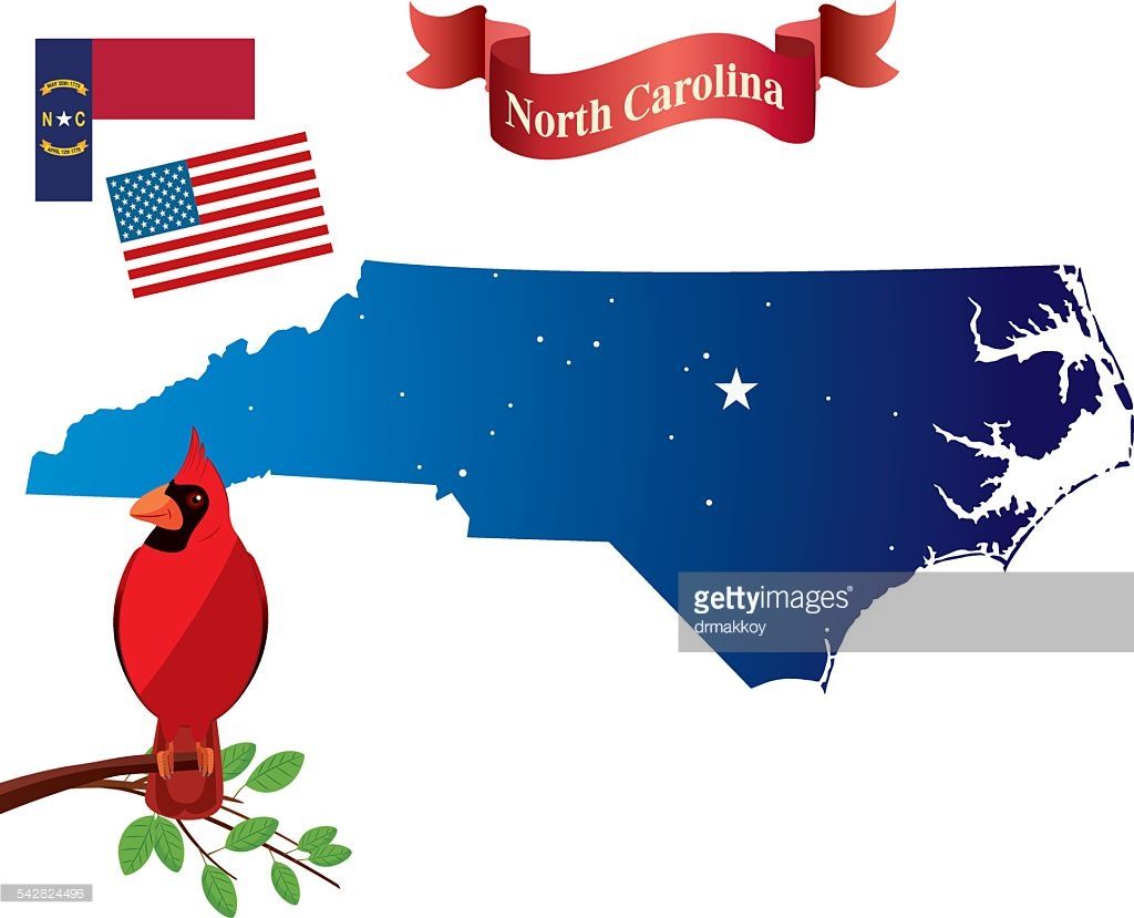 1024x829 Vector Art North Carolina And Cardinal Birds Drawing State