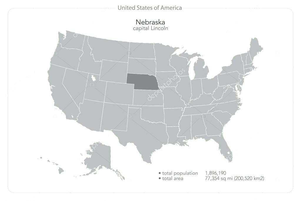 1023x682 United States Of Isolated Map And State Territory Vector Political
