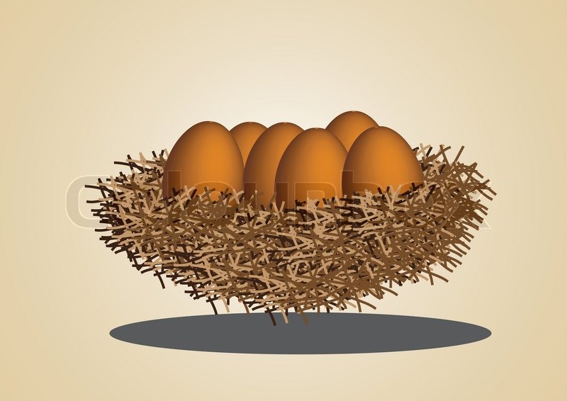 800x566 Eggs In Bird Nest Vector Images Stock Vector Colourbox
