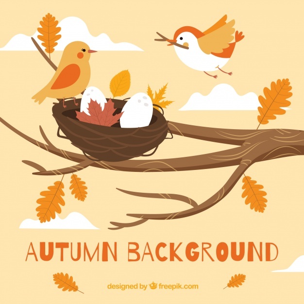 626x626 Nest Vectors, Photos And Psd Files Free Download