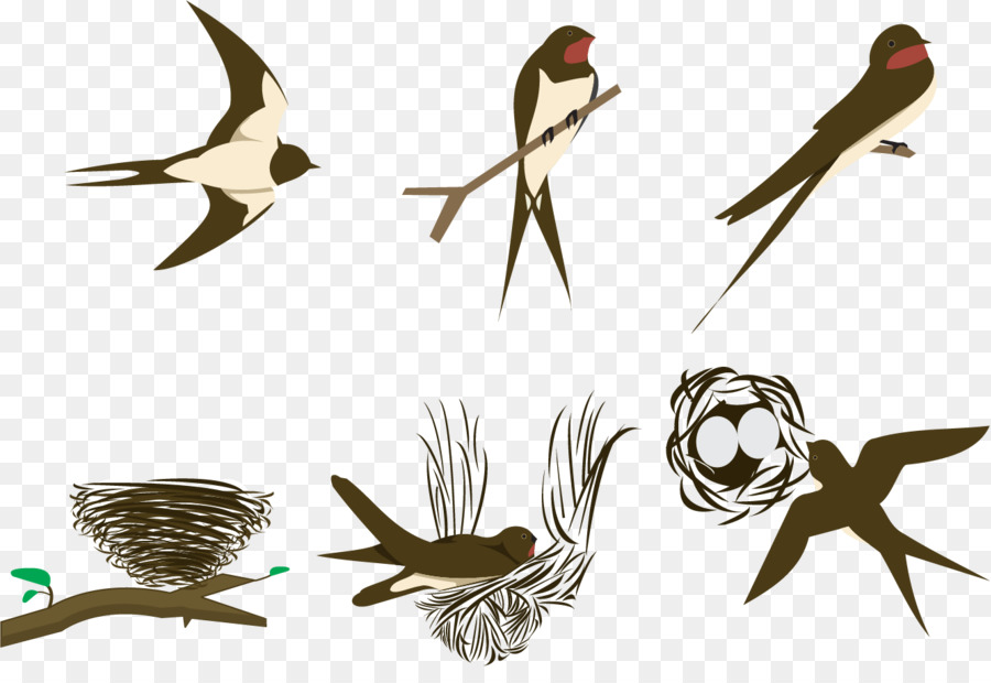 900x620 Swallow Bird Euclidean Vector
