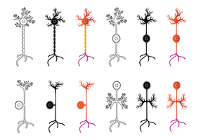 286x200 Neuron Free Vector Art
