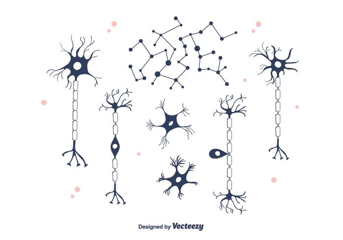 700x490 Neuron Vector