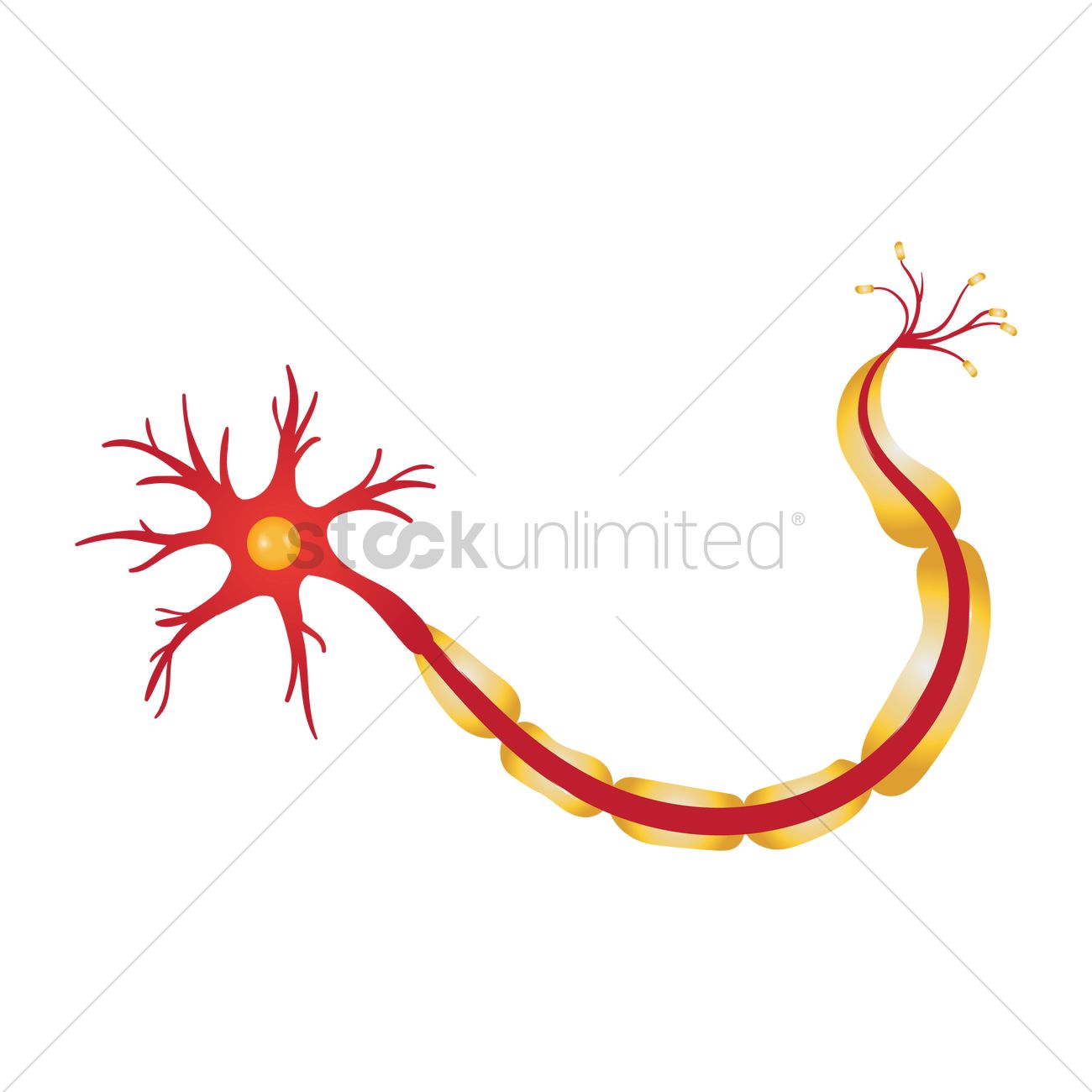 1300x1300 Neuron Vector Image