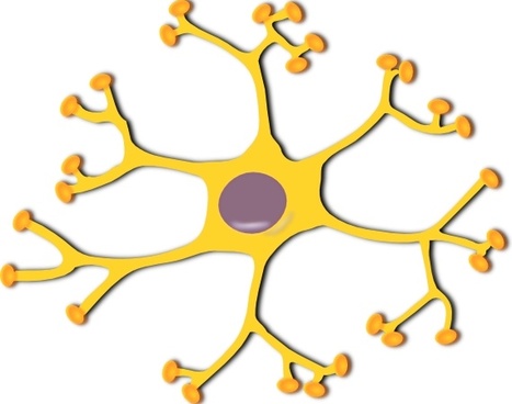 467x368 Vector Neuron Free Vector Download (4 Free Vector) For Commercial