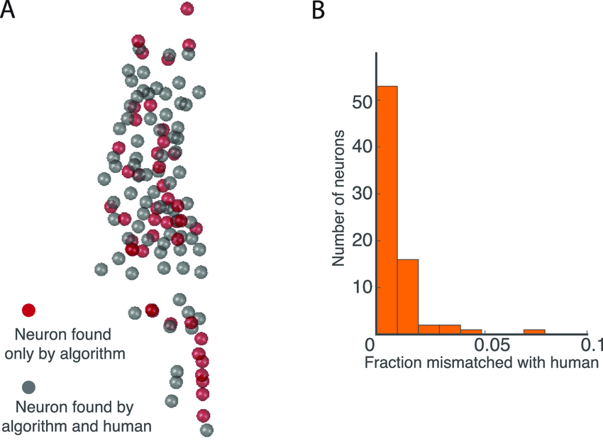 850x625 Comparison Of The Automated Neuron Registration Vector Encoding