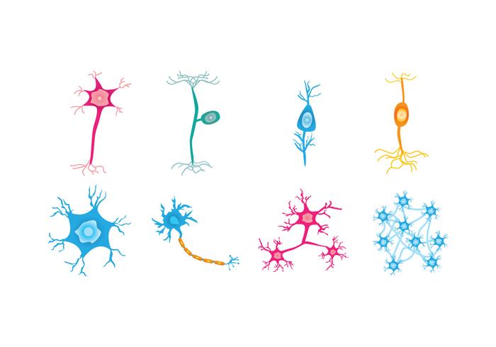 700x490 Free Neuron Vector