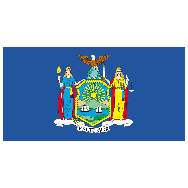 660x660 New York Vector Flag