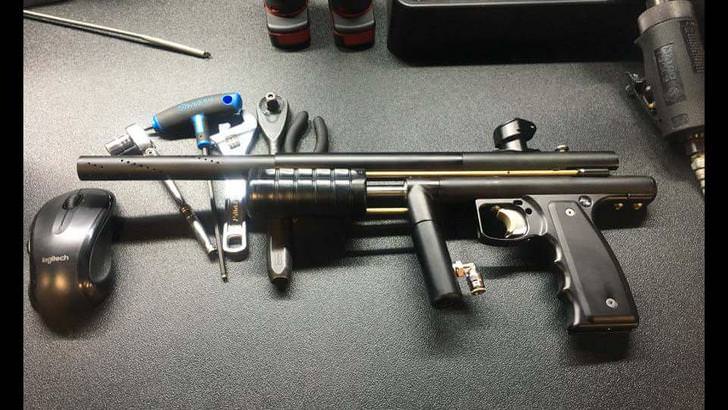 728x410 Niche Vector