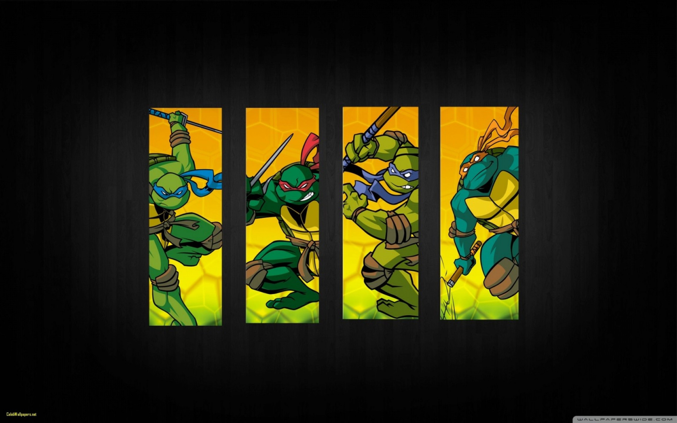 2304x1440 Teenage Mutant Ninja Turtles Vector Art Shopatcloth