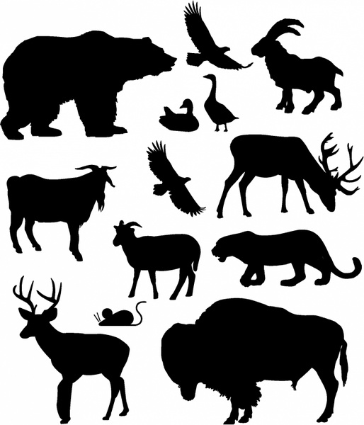 514x600 North American Animals Free Vector In Adobe Illustrator Ai ( .ai