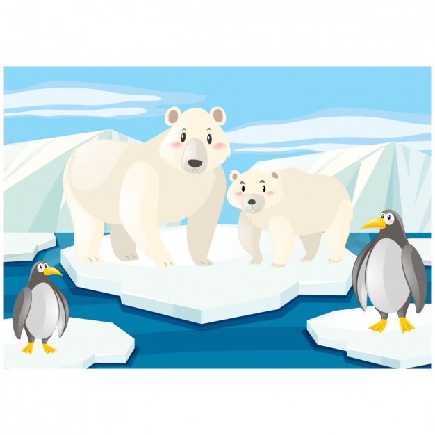 626x626 North Pole Background Design Vector Free Download