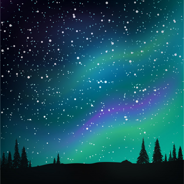 626x625 Northern Lights In The Starry Sky And Pine Forest Vector Premium
