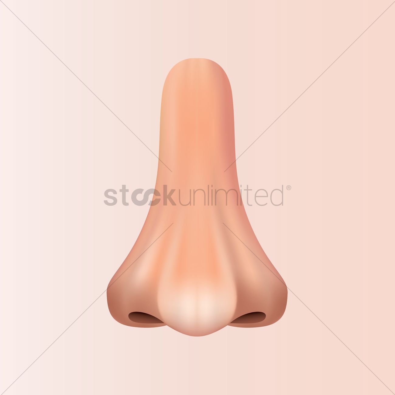 1300x1300 Human Nose Vector Image