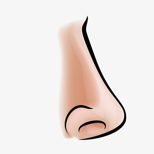 The best free Nose vector images. Download from 58 free vectors of Nose ...