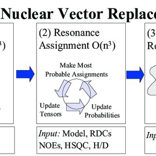 320x320 Nuclear Vector Replacement. Schematic Of The Nvr Algorithm For