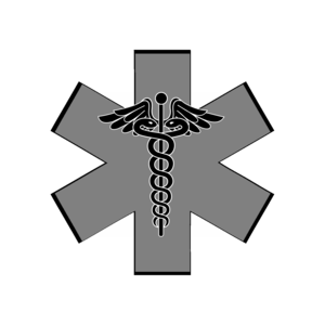 300x300 Nurse Logo Black Gray Free Images