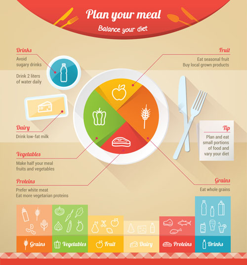 500x538 Nutrition Infographic Vector Material Free Download