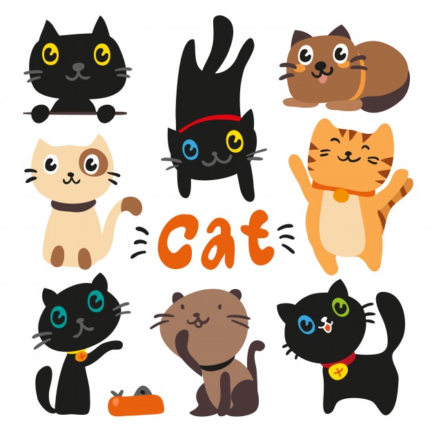 626x626 Cats Vectors, Photos And Psd Files Free Download
