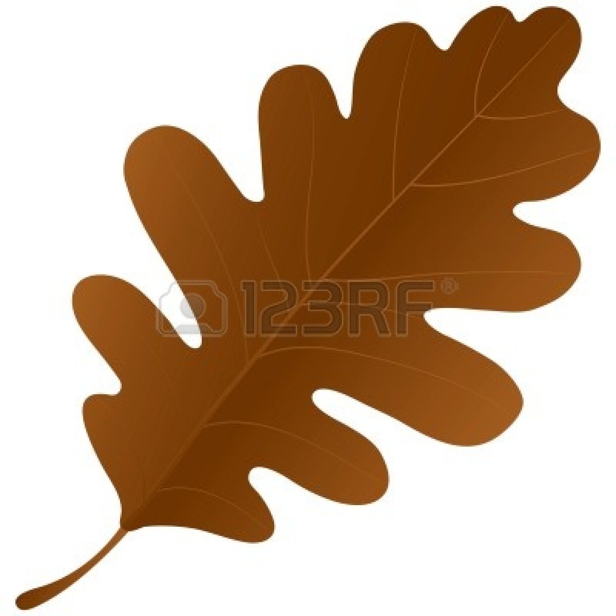 1200x1200 Oak Leaf Vector Clipart
