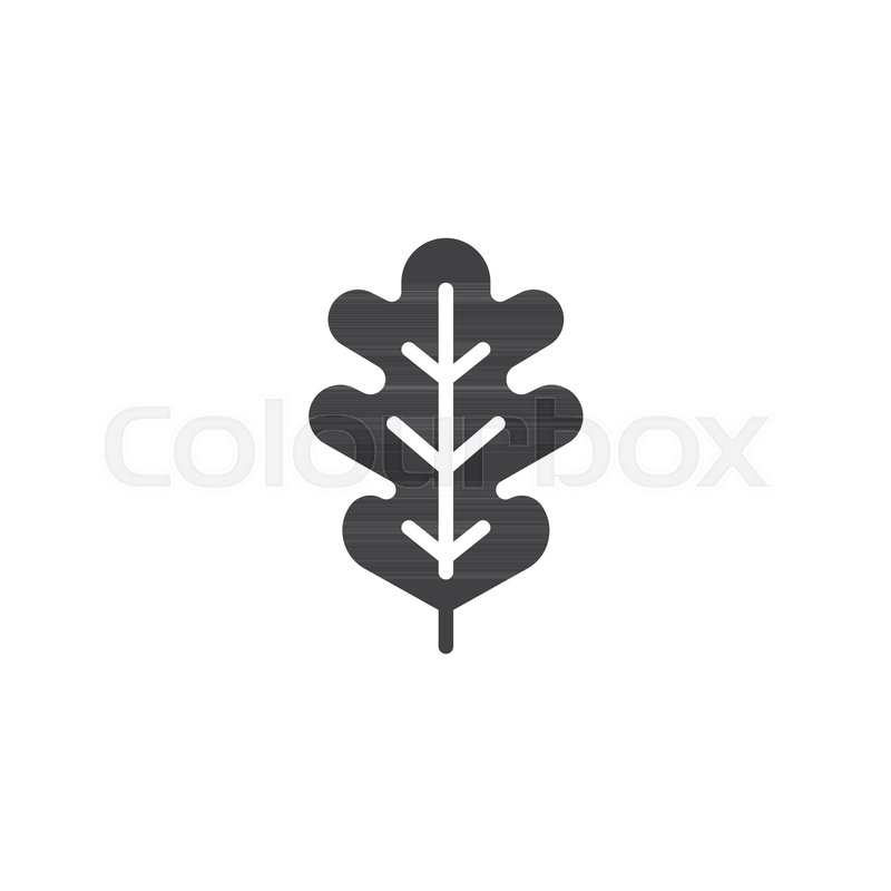 800x800 Oak Leaf Vector Icon. Filled Flat Sign For Mobile Concept And Web