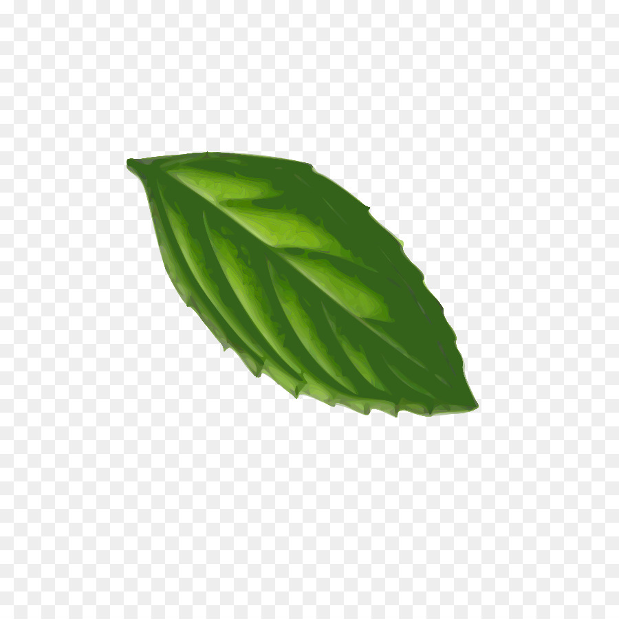 900x900 Peppermint Computer Icons Leaf Clip Art