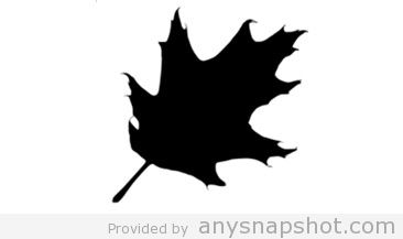 366x217 Vector Oak Leaf Silhouette Clip Art