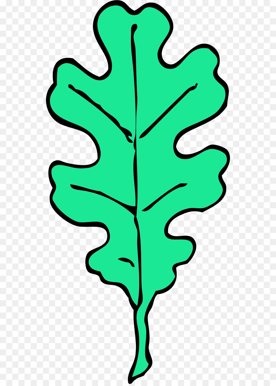 900x1260 White Oak Autumn Leaf Color Acorn Clip Art