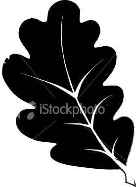 275x380 Oak Leaf Vector Item 4 Clipart Panda