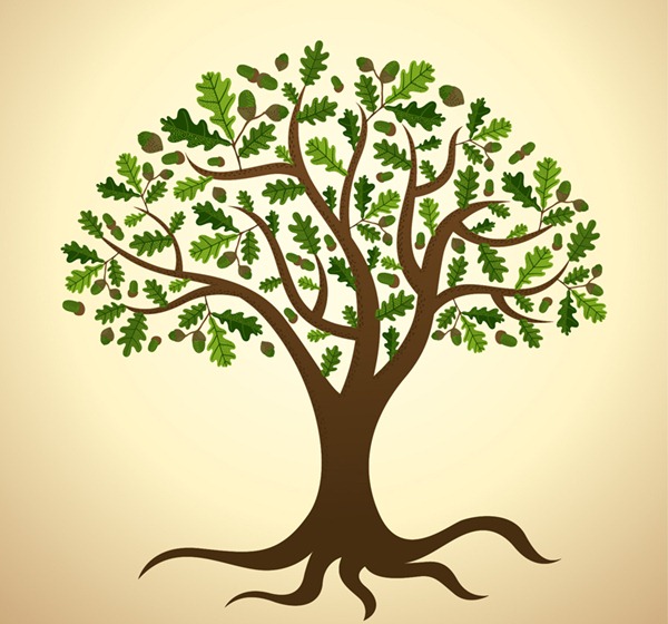 600x560 Lush Green Oak Tree Vector Graphics My Free Photoshop World