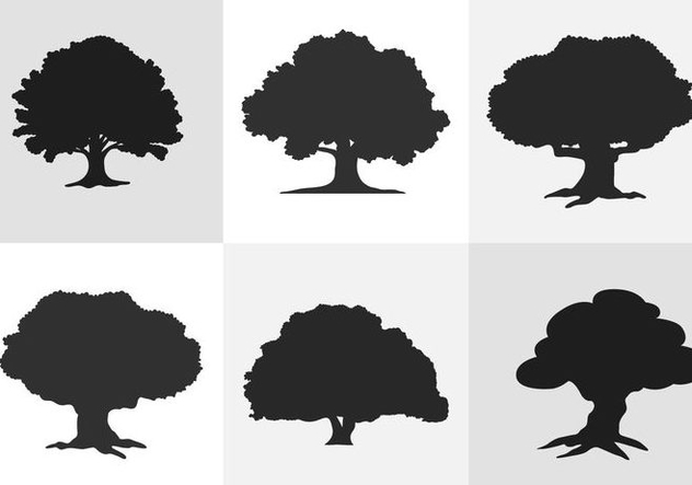 632x443 Oak Tree Silhouette Free Vector Download 334627 Cannypic
