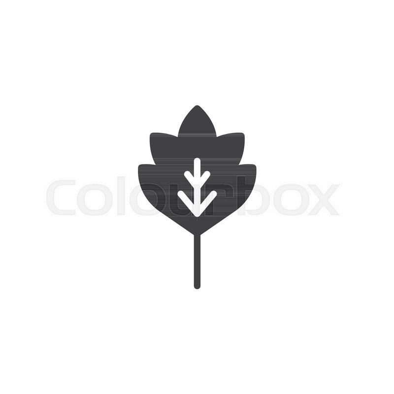 800x800 Oak Leaf Vector Icon. Filled Flat Sign For Mobile Concept And Web