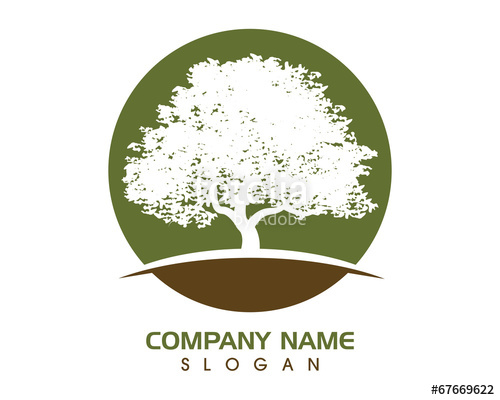 500x400 Oak Tree Logo 2 Stock Image And Royalty Free Vector Files On