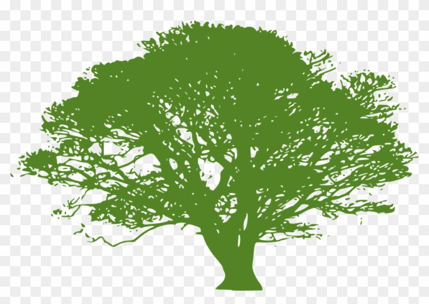 840x594 Tree Vector Png 27, Buy Clip Art