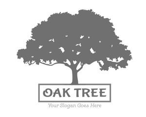 300x240 Vector Oak Tree Love Logo