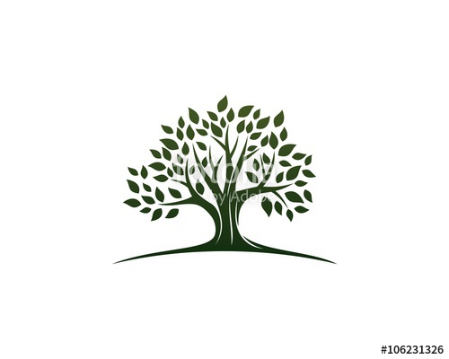 500x400 Green Oak Tree Logo Stock Image And Royalty Free Vector Files On