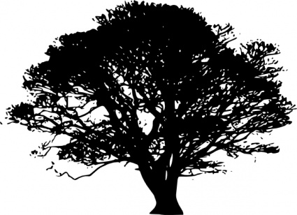 425x308 Free Download Of Oak Tree Vector Graphics And Illustrations