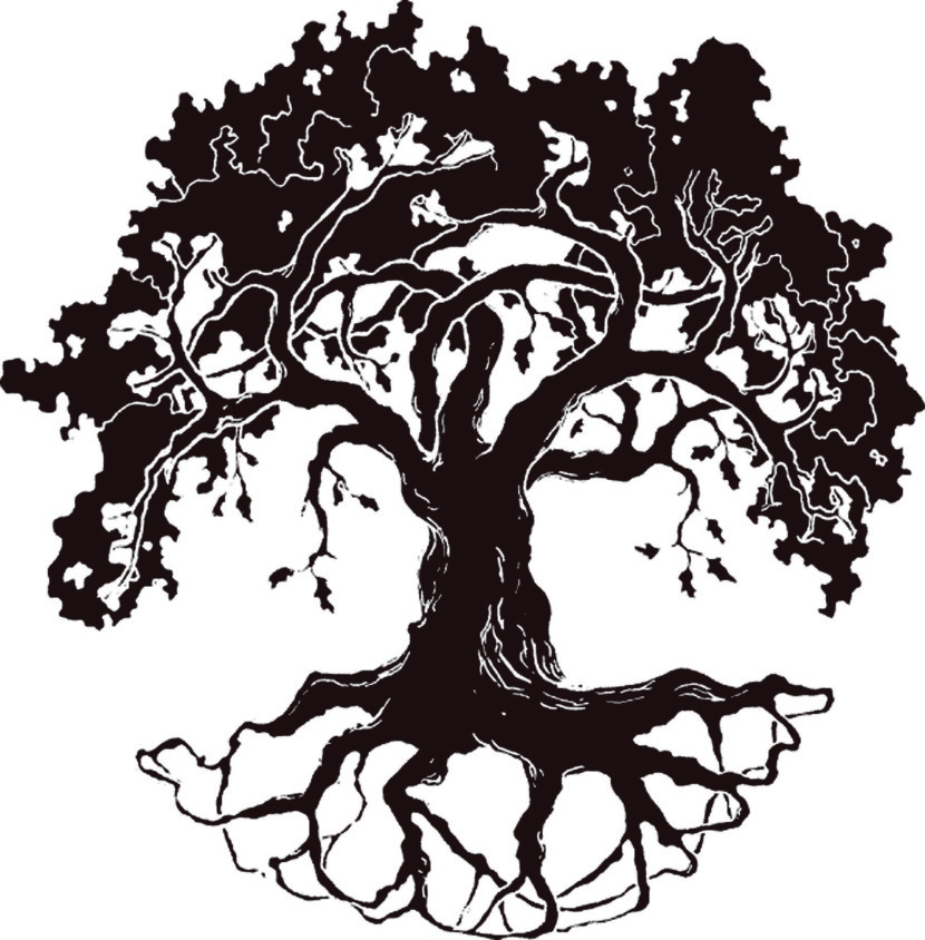 830x844 Oak Tree Black White Free Vector For Free Download About 6 Free