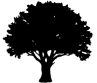 406x348 Oak Tree Outline Clipart