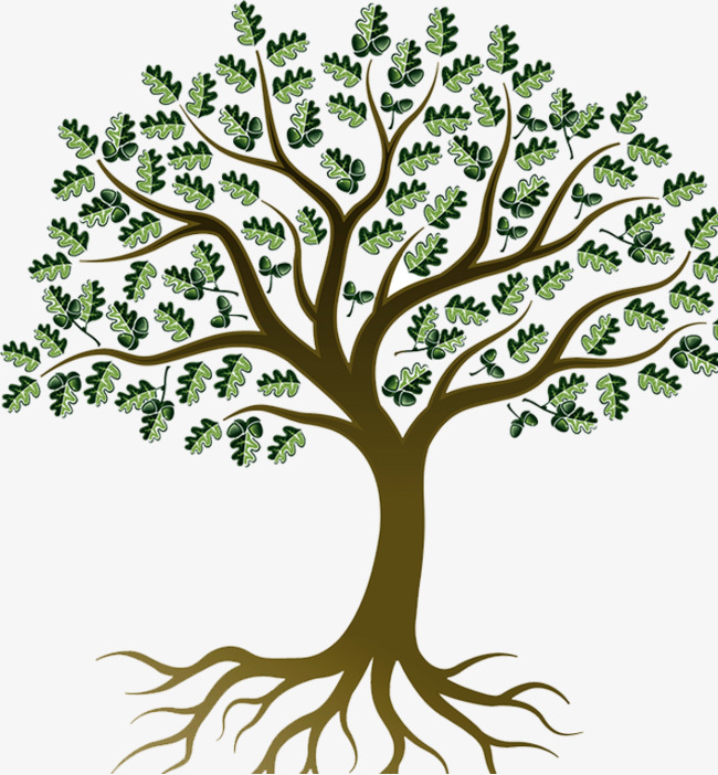 Oak Tree Vector Free Download at GetDrawings | Free download