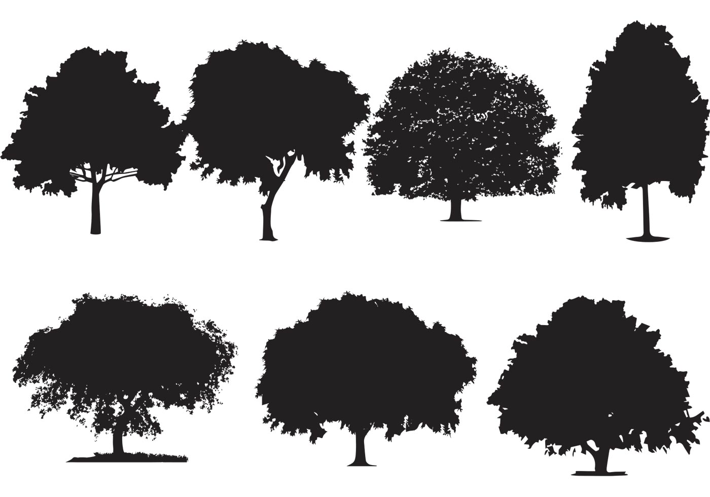 1400x980 Oak Tree Silhouette Vectors