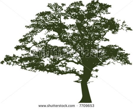 450x370 Oak Tree Black White Free Vector For Free Download About (6) Free