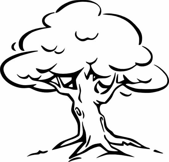 550x527 Oak Tree Vector Clip Art Free Free Vector For Free Download About