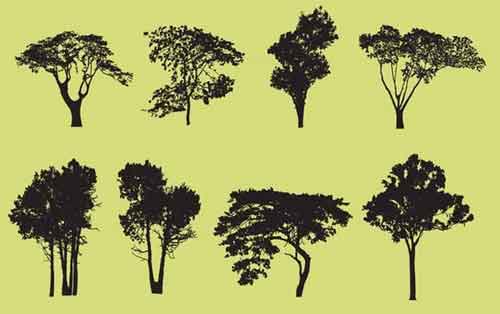500x314 Tree Vector Free Editable Illustrations To Download
