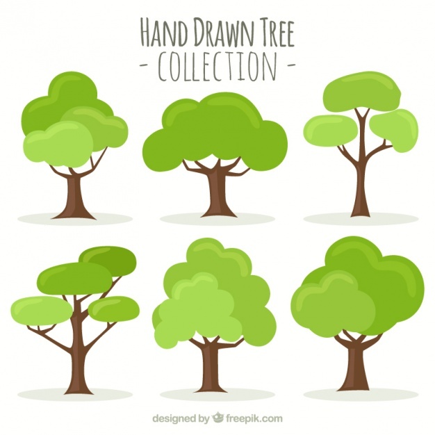 626x626 Tree Vectors, Photos And Psd Files Free Download