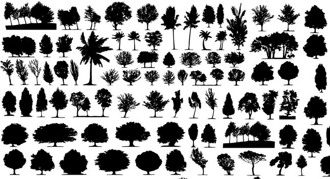 645x350 Vector Tree Silhouettes Free Vectors Ui Download