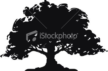 380x251 Download Vector About Oak Tree Vector Item 8 , Vector